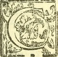 An illustration from Le medicine partenenti alle infermità delle donne (1574)