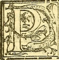 An illustration from Le medicine partenenti alle infermità delle donne (1574)