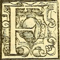 An illustration from Le medicine partenenti alle infermità delle donne (1574)