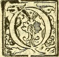 An illustration from Le medicine partenenti alle infermità delle donne (1574)