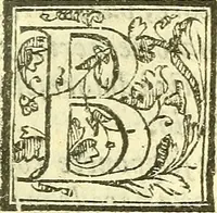 An illustration from Le medicine partenenti alle infermità delle donne (1574)
