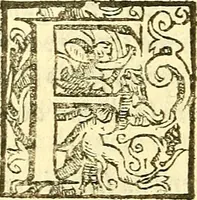 An illustration from Le medicine partenenti alle infermità delle donne (1574)