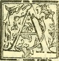 An illustration from Le medicine partenenti alle infermità delle donne (1574)