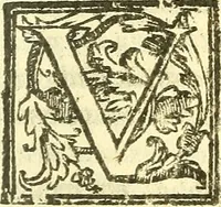 An illustration from Le medicine partenenti alle infermità delle donne (1574)