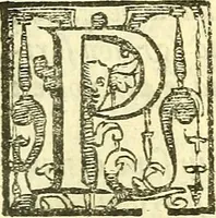 An illustration from Le medicine partenenti alle infermità delle donne (1574)