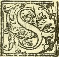 An illustration from Le medicine partenenti alle infermità delle donne (1574)