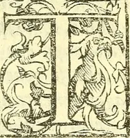 An illustration from Le medicine partenenti alle infermità delle donne (1574)