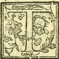 Picture 49 of 63 from Le medicine partenenti alle infermità delle donne (1574), leaf 504