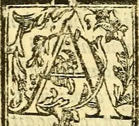An illustration from Le medicine partenenti alle infermità delle donne (1574)