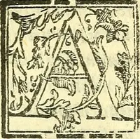 An illustration from Le medicine partenenti alle infermità delle donne (1574)