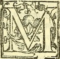 An illustration from Le medicine partenenti alle infermità delle donne (1574)