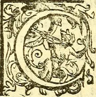 An illustration from Le medicine partenenti alle infermità delle donne (1574)