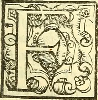 An illustration from Le medicine partenenti alle infermità delle donne (1574)