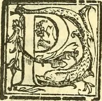 An illustration from Le medicine partenenti alle infermità delle donne (1574)