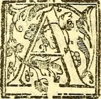 An illustration from Le medicine partenenti alle infermità delle donne (1574)