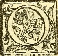 An illustration from Le medicine partenenti alle infermità delle donne (1574)