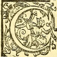 An illustration from Le medicine partenenti alle infermità delle donne (1574)