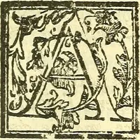 An illustration from Le medicine partenenti alle infermità delle donne (1574)