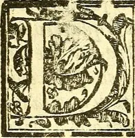 An illustration from Le medicine partenenti alle infermità delle donne (1574)