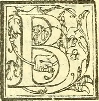 An illustration from Le medicine partenenti alle infermità delle donne (1574)