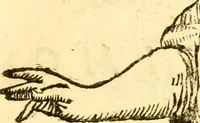 An illustration from Le memorie bresciane : opera historica, e simbolica (1693)