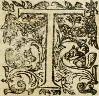 Picture 9 of 39 from Le memorie de l'anno santo M.DC.LXXV : celebrato da papa Clemente X e consecrate alla santitá di N.S. papa Innocenzo XII (1691), leaf 24