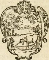 Picture 23 of 39 from Le memorie de l'anno santo M.DC.LXXV : celebrato da papa Clemente X e consecrate alla santitá di N.S. papa Innocenzo XII (1691), leaf 317