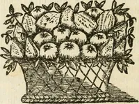 An illustration from Le memorie de l'anno santo M.DC.LXXV : celebrato da papa Clemente X e consecrate alla santitá di N.S. papa Innocenzo XII (1691)