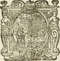 An illustration from Le memorie de l'anno santo M.DC.LXXV : celebrato da papa Clemente X e consecrate alla santitá di N.S. papa Innocenzo XII (1691)