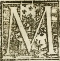 Picture 28 of 39 from Le memorie de l'anno santo M.DC.LXXV : celebrato da papa Clemente X e consecrate alla santitá di N.S. papa Innocenzo XII (1691), leaf 388