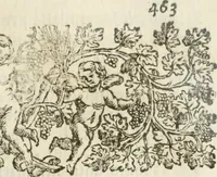 Picture 34 of 39 from Le memorie de l'anno santo M.DC.LXXV : celebrato da papa Clemente X e consecrate alla santitá di N.S. papa Innocenzo XII (1691), leaf 486