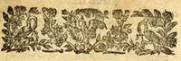 An illustration from Le mercure françois, ou, La suitte de l'histoire de la paix. : Commençant l'an M. D.CV. pour suitte du septenaire du D. Cayer, & finissant au sacre du tres-Chrestien roy de France & de Nauarre Loys XIII. [i.e. Cayet. From 1605 to 1635 by J. and E. Richer, and continued to 1644 by J. Renaudot] (1611)