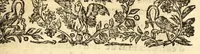 An illustration from Le mercure françois, ou, La suitte de l'histoire de la paix. : Commençant l'an M. D.CV. pour suitte du septenaire du D. Cayer, & finissant au sacre du tres-Chrestien roy de France & de Nauarre Loys XIII. [i.e. Cayet. From 1605 to 1635 by J. and E. Richer, and continued to 1644 by J. Renaudot] (1611)