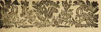 An illustration from Le mercure françois, ou, La suitte de l'histoire de la paix. : Commençant l'an M. D.CV. pour suitte du septenaire du D. Cayer, & finissant au sacre du tres-Chrestien roy de France & de Nauarre Loys XIII. [i.e. Cayet. From 1605 to 1635 by J. and E. Richer, and continued to 1644 by J. Renaudot] (1611)