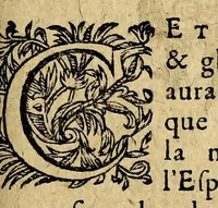 An illustration from Le mercure françois, ou, La suitte de l'histoire de la paix. : Commençant l'an M. D.CV. pour suitte du septenaire du D. Cayer, & finissant au sacre du tres-Chrestien roy de France & de Nauarre Loys XIII. [i.e. Cayet. From 1605 to 1635 by J. and E. Richer, and continued to 1644 by J. Renaudot] (1611)