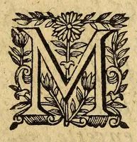 An illustration from Le mercure françois, ou, La suitte de l'histoire de la paix. : Commençant l'an M. D.CV. pour suitte du septenaire du D. Cayer, & finissant au sacre du tres-Chrestien roy de France & de Nauarre Loys XIII. [i.e. Cayet. From 1605 to 1635 by J. and E. Richer, and continued to 1644 by J. Renaudot] (1611)