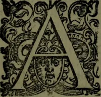 An illustration from Le Metamorfosi (1584)