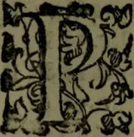 An illustration from Le Metamorfosi (1584)