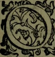 An illustration from Le Metamorfosi (1584)