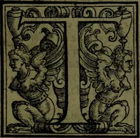 An illustration from Le Metamorfosi (1584)