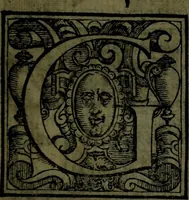 An illustration from Le Metamorfosi (1584)