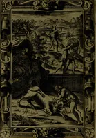 An illustration from Le Metamorfosi (1584)