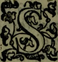 An illustration from Le Metamorfosi (1584)