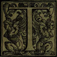 An illustration from Le Metamorfosi (1584)