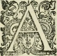 An illustration from Le metamorfosi di Ovidio (1584)