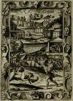 An illustration from Le metamorfosi di Ovidio (1584)