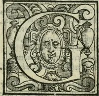 An illustration from Le metamorfosi di Ovidio (1584)