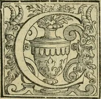 An illustration from Le metamorfosi di Ovidio (1584)