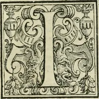 Picture 10 of 40 from Le metamorfosi di Ovidio (1584), leaf 48