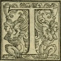 Picture 38 of 40 from Le metamorfosi di Ovidio (1584), leaf 502